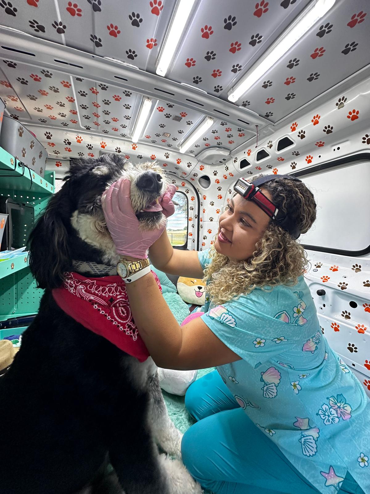 Anesthesia-Free Safety
